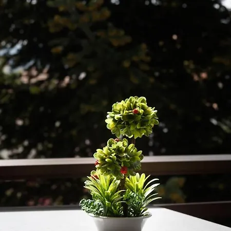 Appartamento Drakontis